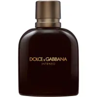 Dolce&Gabbana Pour Homme Intenso Eau de Parfum pentru bărbați 125 ml