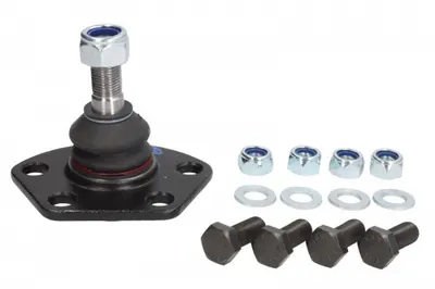 Pivot axa Dreapta Stanga (inferior fata) (diametru con 16mm) potrivit CITROEN JUMPER I; FIAT DUCATO; PEUGEOT BOXER 1.9D-2.8D 02.94-04.02