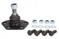Pivot axa Dreapta Stanga (inferior fata) (diametru con 16mm) potrivit CITROEN JUMPER I; FIAT DUCATO; PEUGEOT BOXER 1.9D-2.8D 02.94-04.02