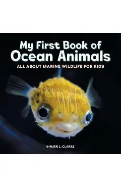 My First Book of Ocean Animals: All about Marine Wildlife for Kids
