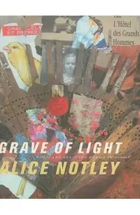 Grave of Light: New and Selected Poems 1970-2005