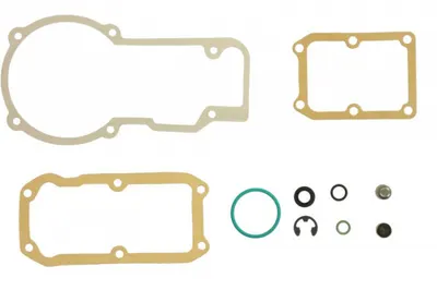 Injection pump repair kit (centrifugal Unitate control RSF3)