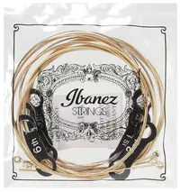 Corzi de chitară acustică Ibanez - IACSP6C, 12-53, auriu