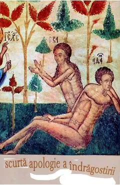 Scurta apologie a indragostirii
