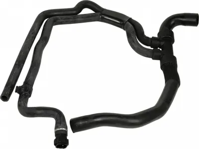 Furtun radiator inferior (30mm 29mm) potrivit RENAULT CLIO II, KANGOO, KANGOO EXPRESS, THALIA I 1.2 06.01