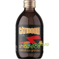 Shot de Catina cu Ghimbir Ecologic/Bio 100ml
