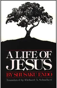 A Life of Jesus