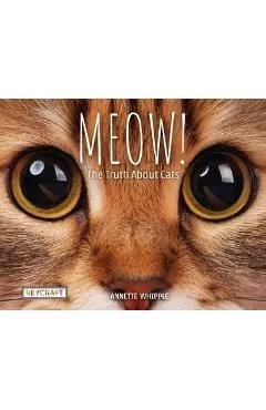Meow! the Truth about Cats