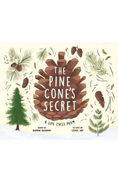 The Pine Cone's Secret: A Life Cycle Poem