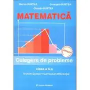 Matematica culegere de probleme Clasa 10