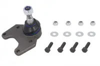 Pivot axa Dreapta Stanga (inferior fata) (diametru con 14,5mm) potrivit RENAULT 25, ESPACE I, ESPACE II 2.0-2.8 04.84-12.96