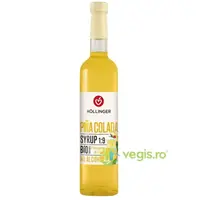 Sirop cu Aroma de Ananas si Nuca de Cocos 1:9 Pina Colada fara Alcool Ecologica/Bio 500ml
