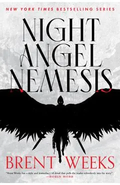 Night Angel Nemesis