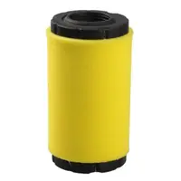 Filtru Aer Motor Briggs - Stratton 793569