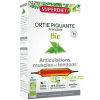 Urzica pentru Articulatii Ecologice/Bio 20 fiole x 15ml