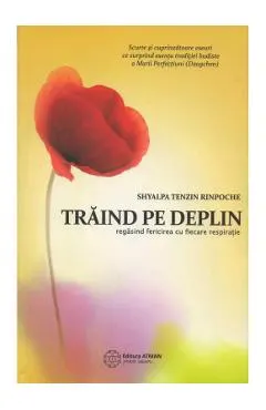 Traind Pe Deplin
