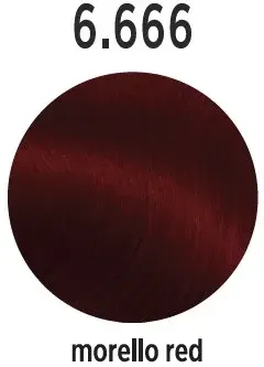 Vopsea de par Profesionala ELEMENT Morello Red 6.666 - 100 ml