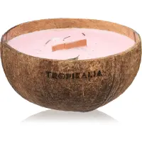 Tropicandle Frozen Cranberry lumânare parfumată cu fitil din lemn 350 ml