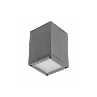 Spot - Ceiling luminaire LENTO, alum, 100×130, IP54, max 35W, square, graphite
