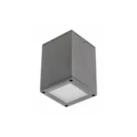 Spot - Ceiling luminaire LENTO, alum, 100×130, IP54, max 35W, square, graphite