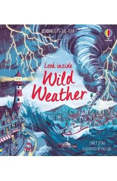 Look Inside Wild Weather