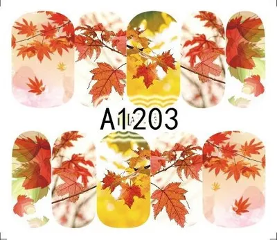 Tatuaj - A1203