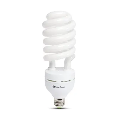 Bec Economic Spirala 40W E27 6400K