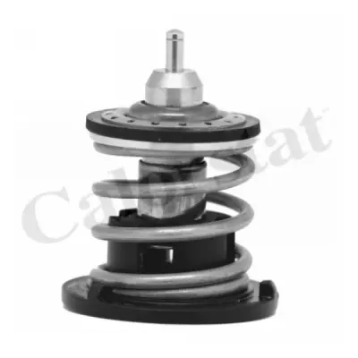 Termostat, lichid racire CALORSTAT by Vernet TH7265.80