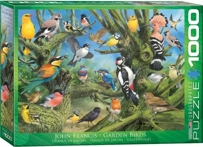 Puzzle Eurographics din 1000 de piese - Pasari in gradina, John Francis