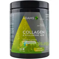 Collagen si Acid Hialuronic Pulbere Instant cu Aroma de Vanilie 600g
