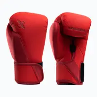 Mănuși de box Hayabusa T360 Boxing