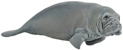 Figurina Papo Marine Life – Lamantin