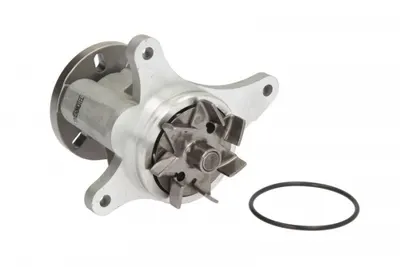 Pompa apa potrivit CITROEN C5 III, C6; PEUGEOT 407, 607 2.7D 12.04