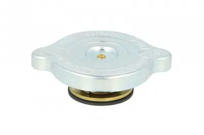Buson Radiator (0,6bar) Potrivit Man F8, F9, F90, F90 Unterflur, Foc, G, G90, Hocl, L2000, Lion S City, Lion S Classic, Lion S Coach, Lion S Star D0224mf-D2876loh21 10.75