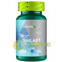 Shilajit Mumio 400mg 90cps