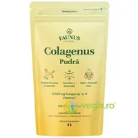 Colagenus Pudra + Vitamina C 303g