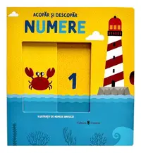 Acopăr și descopăr - Numere - Hardcover - Gabriele Clima