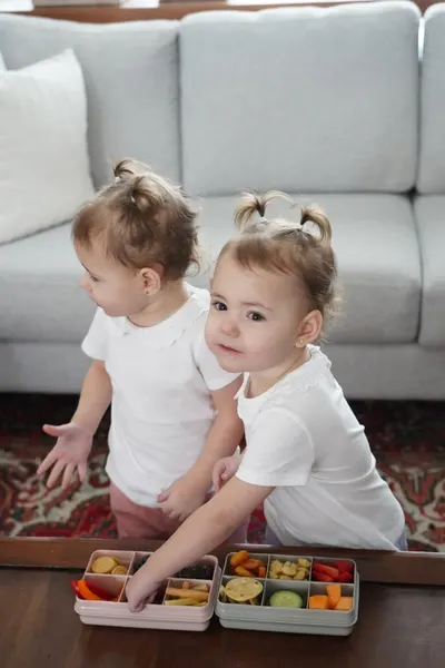 Cutie snack cu 6 compartimente Melii Grey