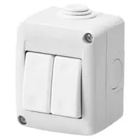 PROTECTED ENCLOSURE COMPLETE WITH SYSTEM DEVICES - WITH Intrerupator cap scara+Intrerupator cap scara 1P 16 AX - IP40 - RGREY RAL 7035
