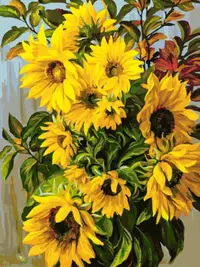 Set de pictat după numere MagicArt - Florile Soarelui
