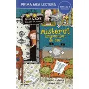 Maia si Alex. Misterul lingourilor de aur. Prima mea lectura