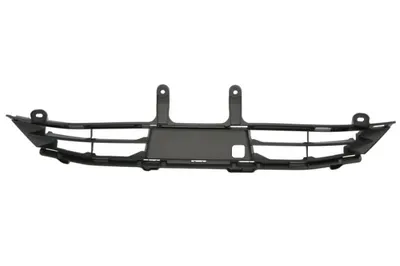 Grila radiator cu orificii camera, negru potrivit TOYOTA PRIUS V W6 10.22
