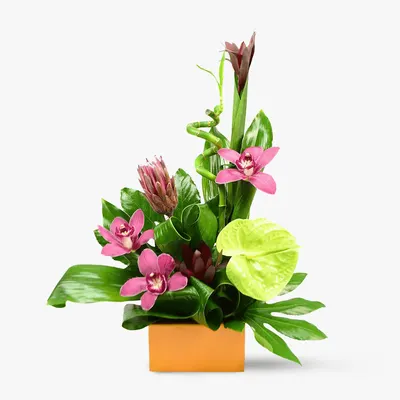 Flori business - Prosperitate