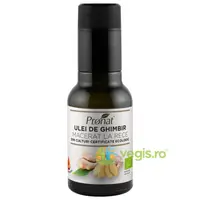 Ulei de Ghimbir Macerat la Rece Ecologic/Bio 100ml