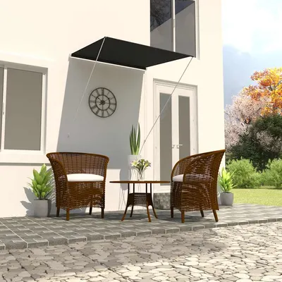 vidaXL Copertină retractabilă, antracit, 100 x 150 cm