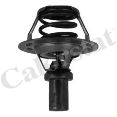 Termostat, lichid racire CALORSTAT by Vernet TH5284.91J