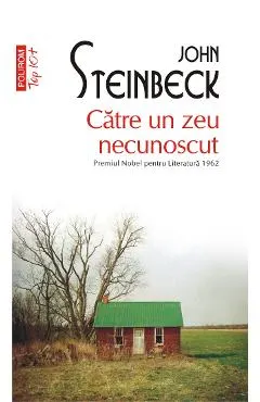 eBook Catre un zeu necunoscut