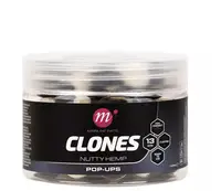 Boilies Pop-Up Mainline Clones Hemp 13mm