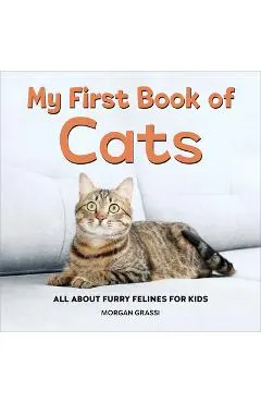 My First Book of Cats: All about Furry Felines for Kids