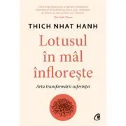 Lotusul in mal infloreste. Arta transformarii suferintei